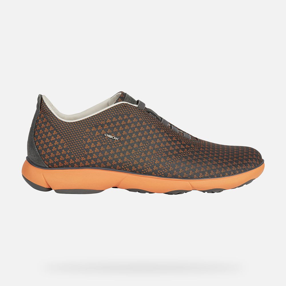 Geox Sneakers Dark Grey/Orange Nebula - Geox Mens Shoes - FUOQVJ139